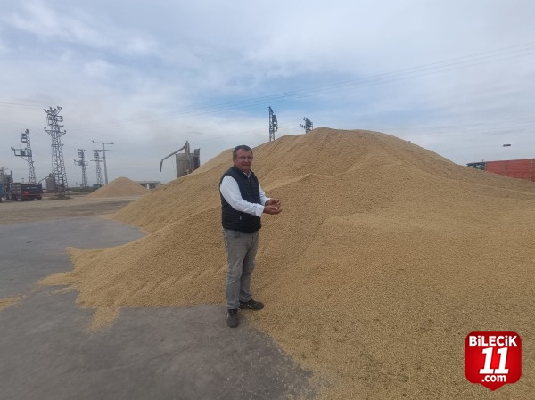 İpsala'da çeltik üreticileri yerli tohumla yüksek verim elde etti