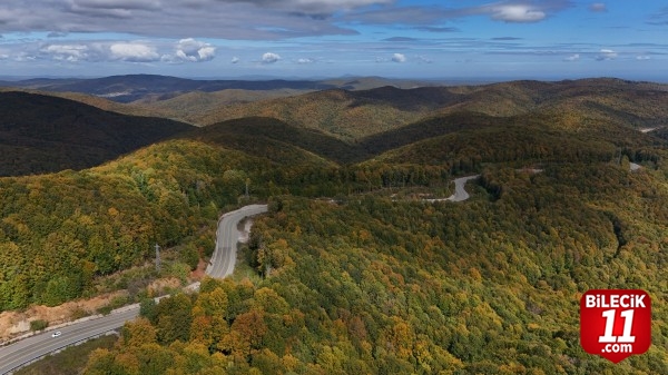 Istranca ormanları sonbahar renklerine büründü