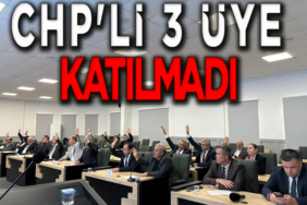 chp