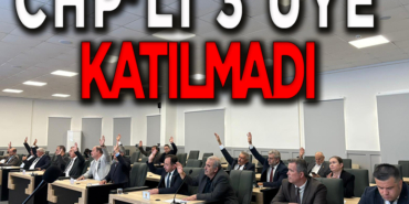 chp
