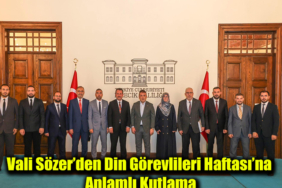 din manşet