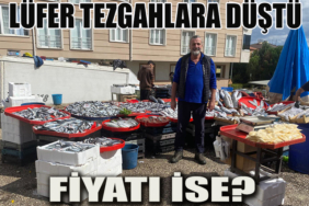 fiyatı isee