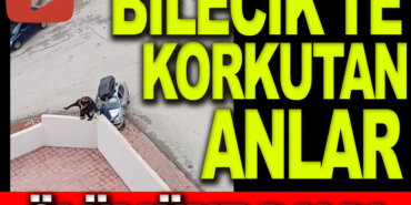 kavga