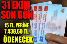 kimlik