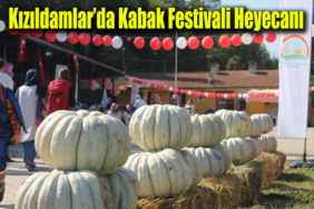 kızıldamlar