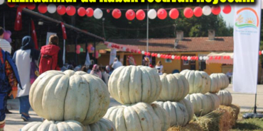 kızıldamlar