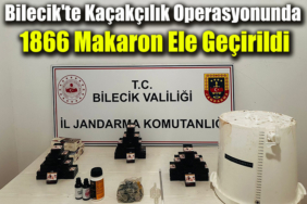 makaroonn