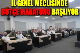 meclis
