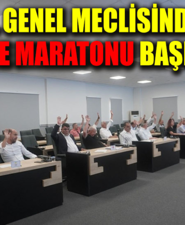 meclis