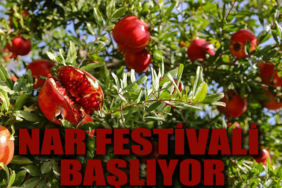 nar manşet