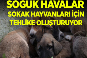 soğuk manşet