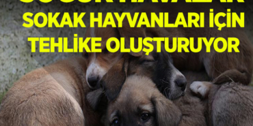 soğuk manşet
