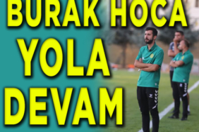 söğüt