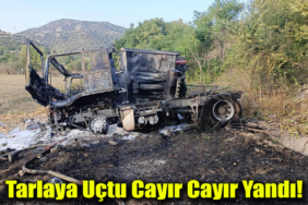 yandı