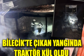yangınn