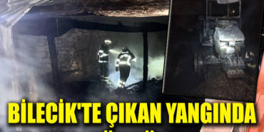 yangınn