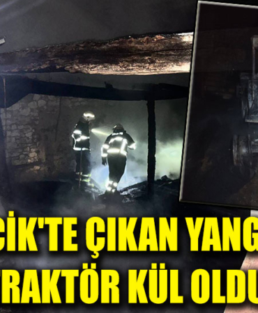 yangınn
