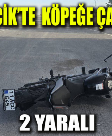 KÖPEK