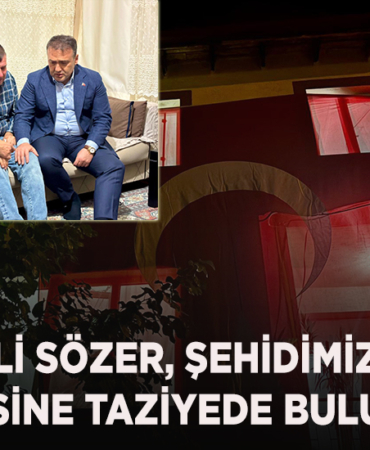 ŞEHİDİMİZİN