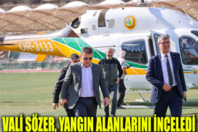 VALİ