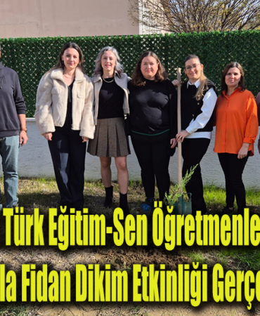 ağaç