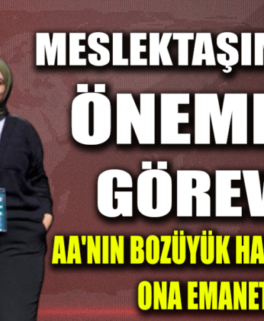 beyzaa