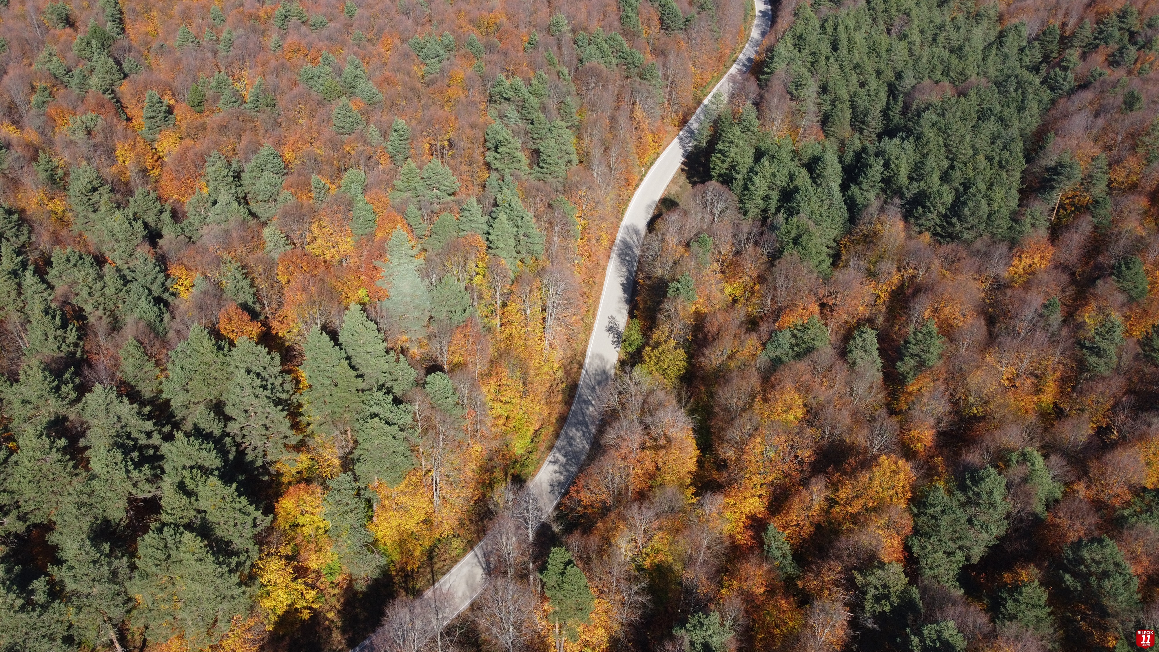 Bilecik ormanlarında sonbahar renkleri hakim oldu
