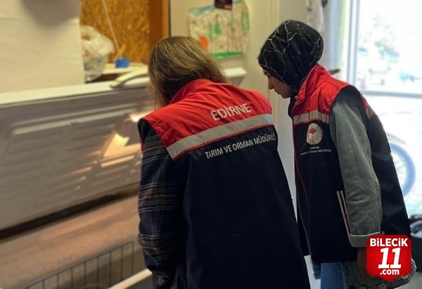 Edirne'de gıda satışı yapan işletmeler denetlendi