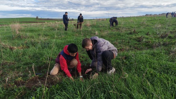 Edirne'de Kur'an kursu öğrencileri fidan dikti