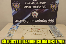 dolandırıcılık