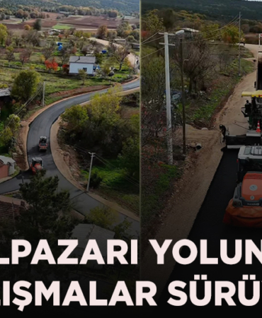 gölpazarı