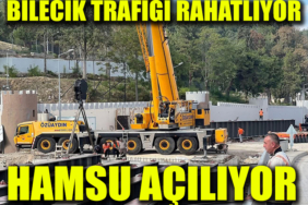 hamsusssss