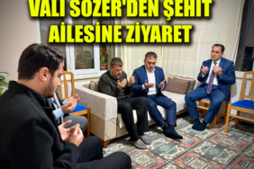 sfeagersyy