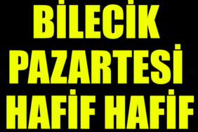 sfeasgrsyg