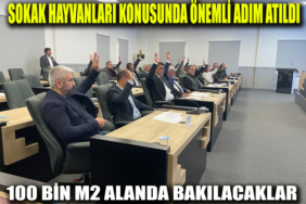 sokak