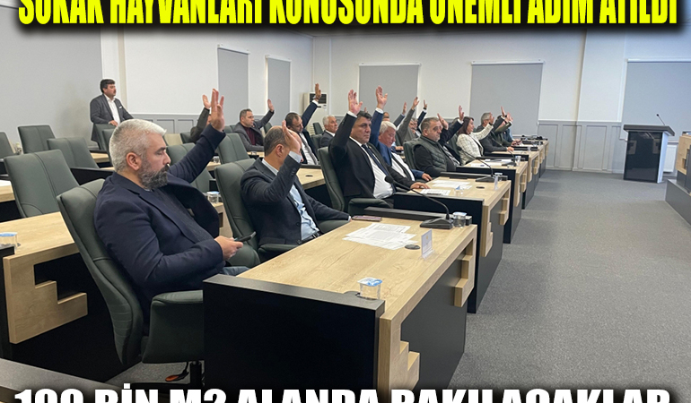 sokak