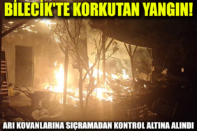 yangın