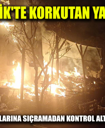 yangın