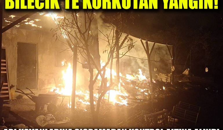 yangın