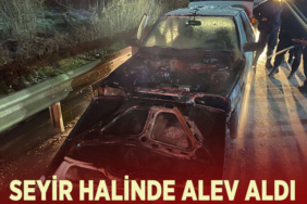 alev
