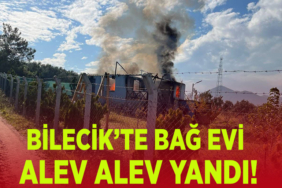 alev