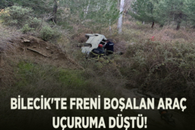 araç