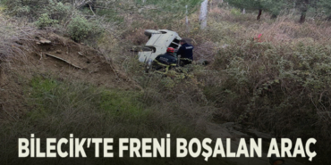 araç