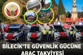 araç