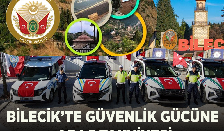 araç