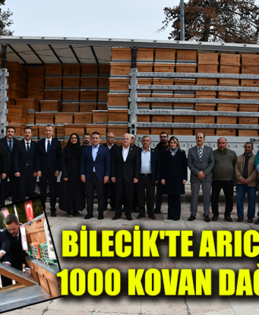 arı