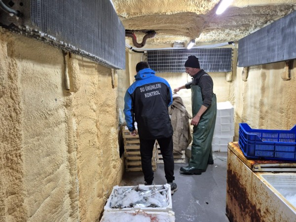 Çanakkale'de su ürünleri avcılığı denetiminde 525 kilogram balığa el konuldu