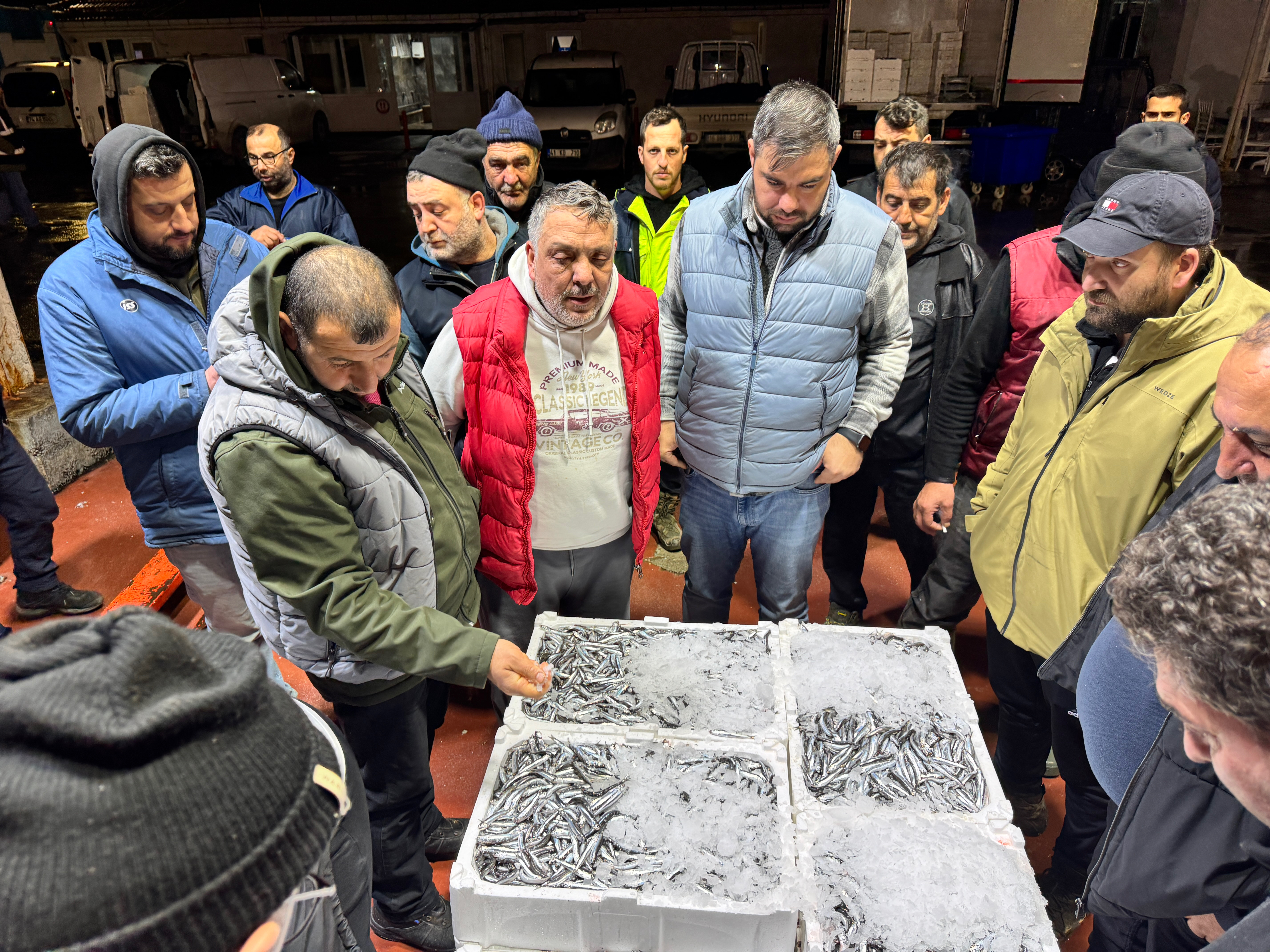 En yoğun rekabet hamsi'de yaşandı