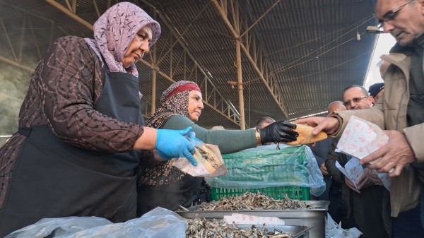 Sakarya'da festivalde katılımcılara 1 ton hamsi ikram edildi