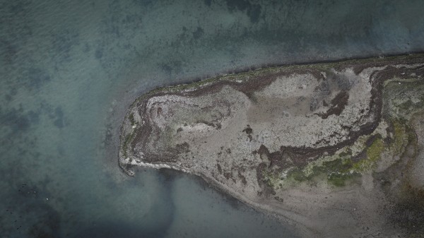 SAPANCA GÖLÜ ALARM VERİYOR - Azalan yağışlarla su seviyesi kritik eşiğin altına düştü